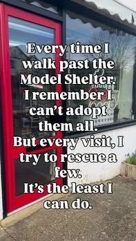 Couldn’t help but laugh at this clever ad 😂😂😂
They certainly know how to play to a train enthusiast!